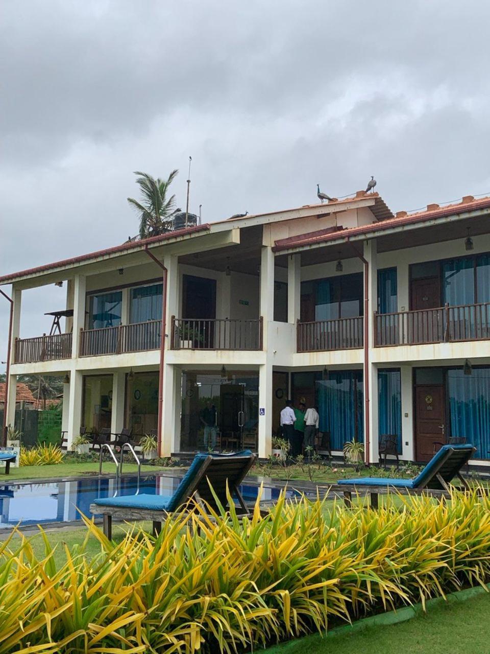 Calypso Sunset Hotel Iranawila Luaran gambar